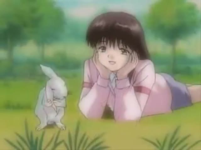 Still from Not Because You're a Rabbit