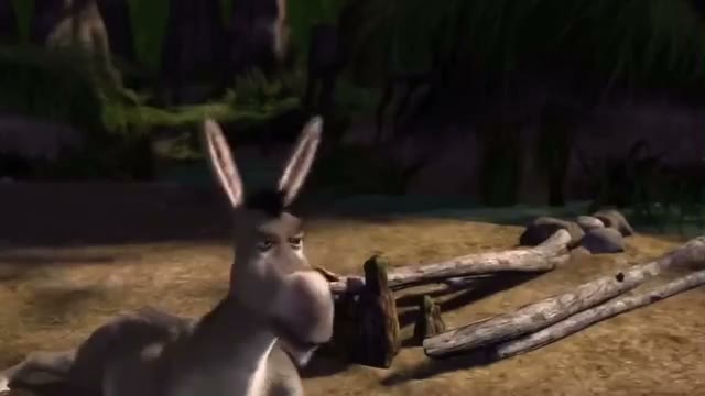 Still from Swamp Argument